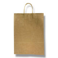 Gift Paper Bag 25 cm Plain
