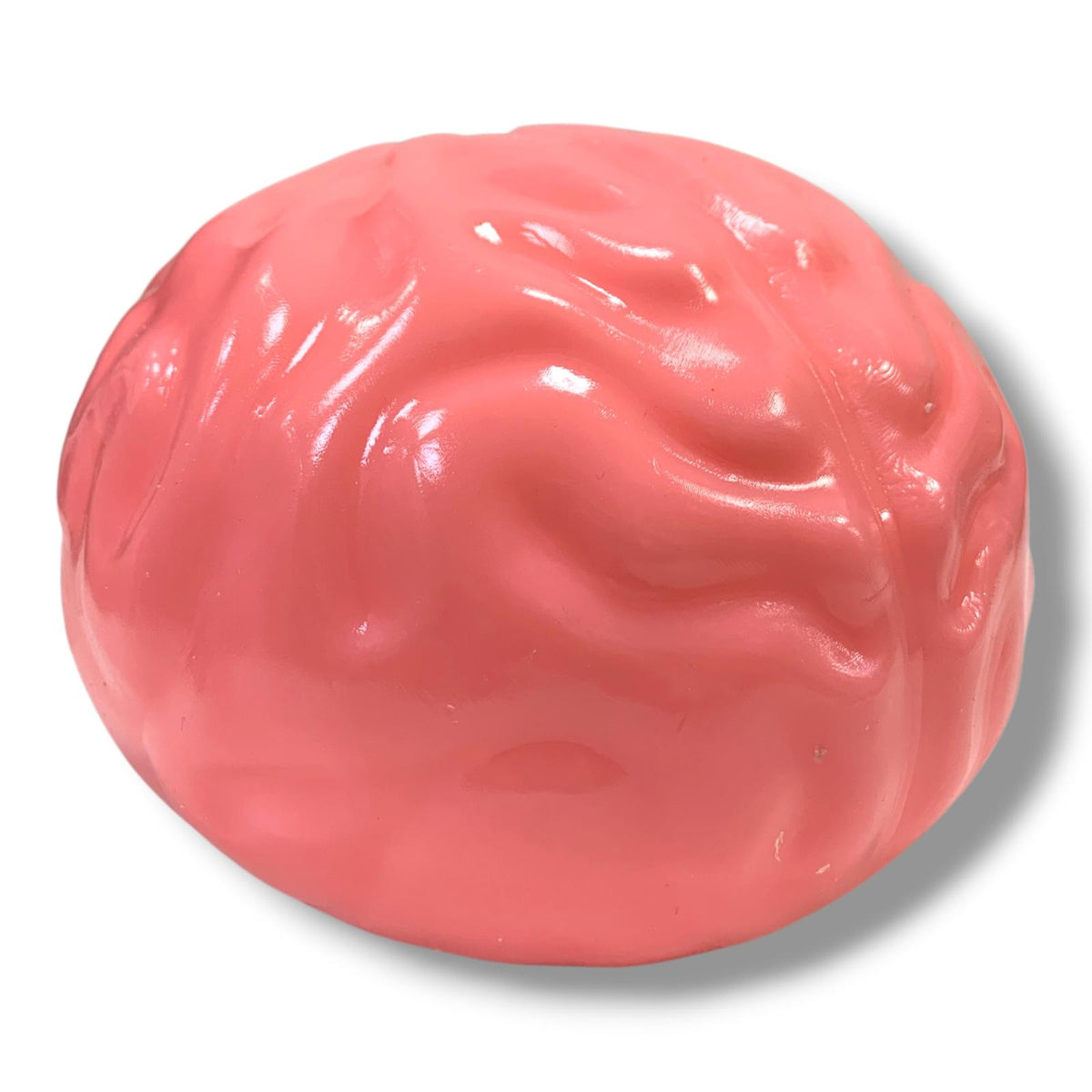 Jumbo Squishy Brain || دماغ سكوشي جامبو