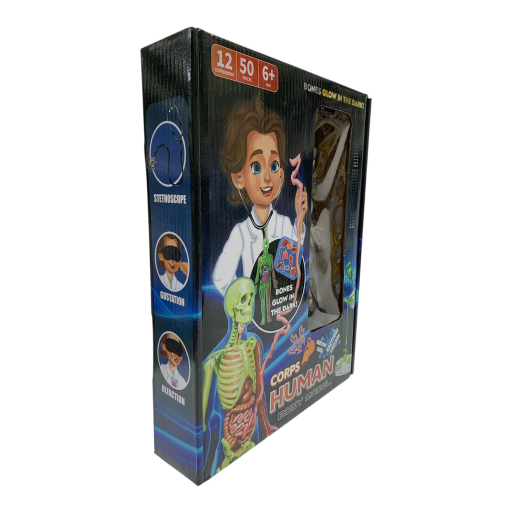 طقم نموذج جسم الإنسان التعليمي - يتوهج في الظلام || Corps Human Body Model Glow in the Dark Scientific Toy Set