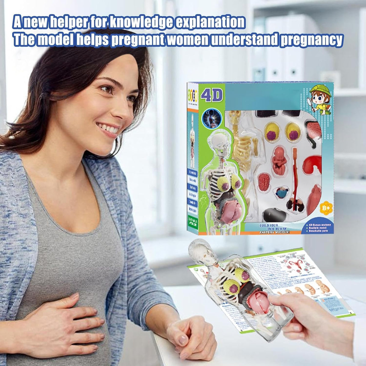 مجموعة مجسم الجذع للمرأة الحامل رباعي الأبعاد (4D) - لعبة علمية || 4D Transperant Pregnancy Torso Model Scientific Toy Set