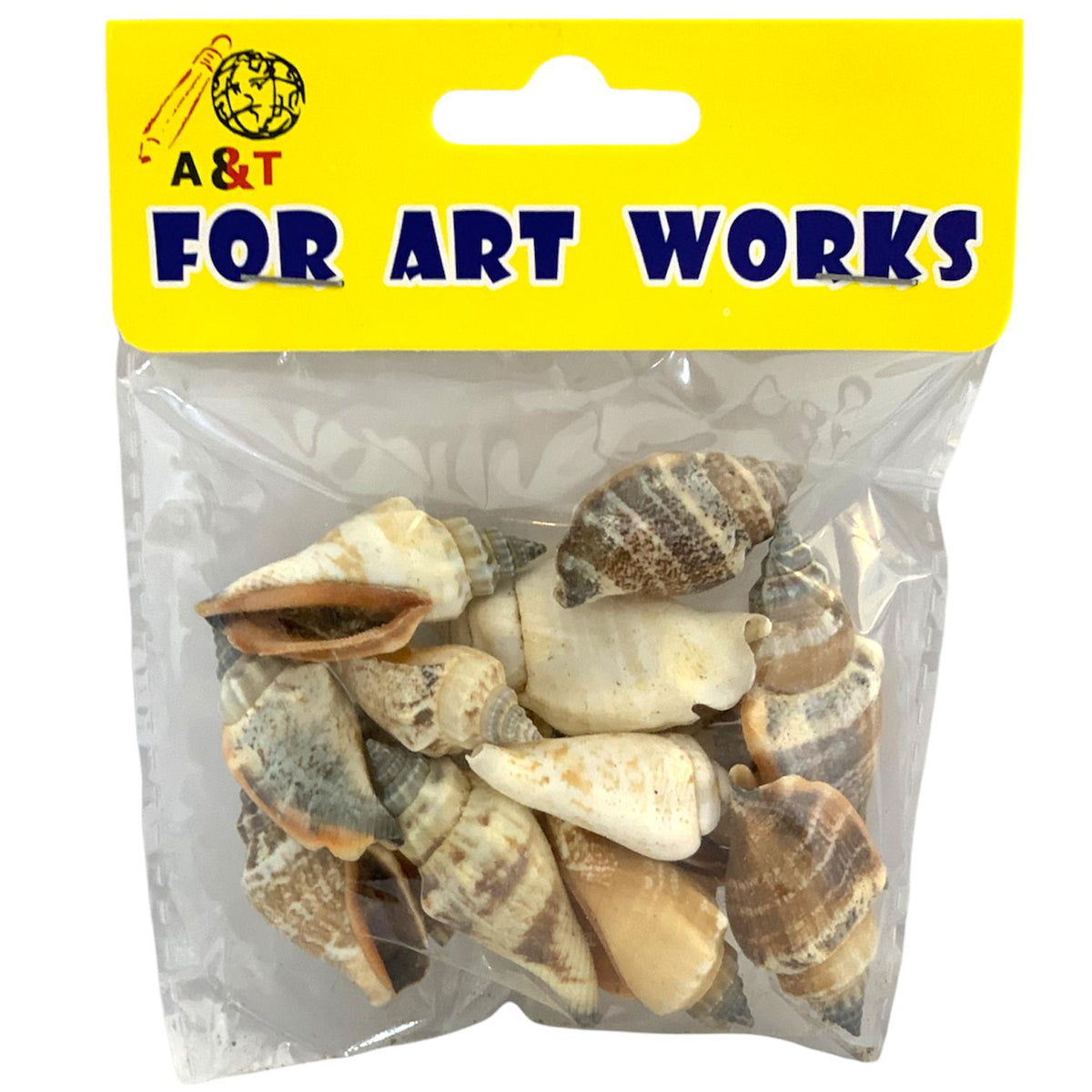 A&T Seashells Medium || مجموعة صدف وسط