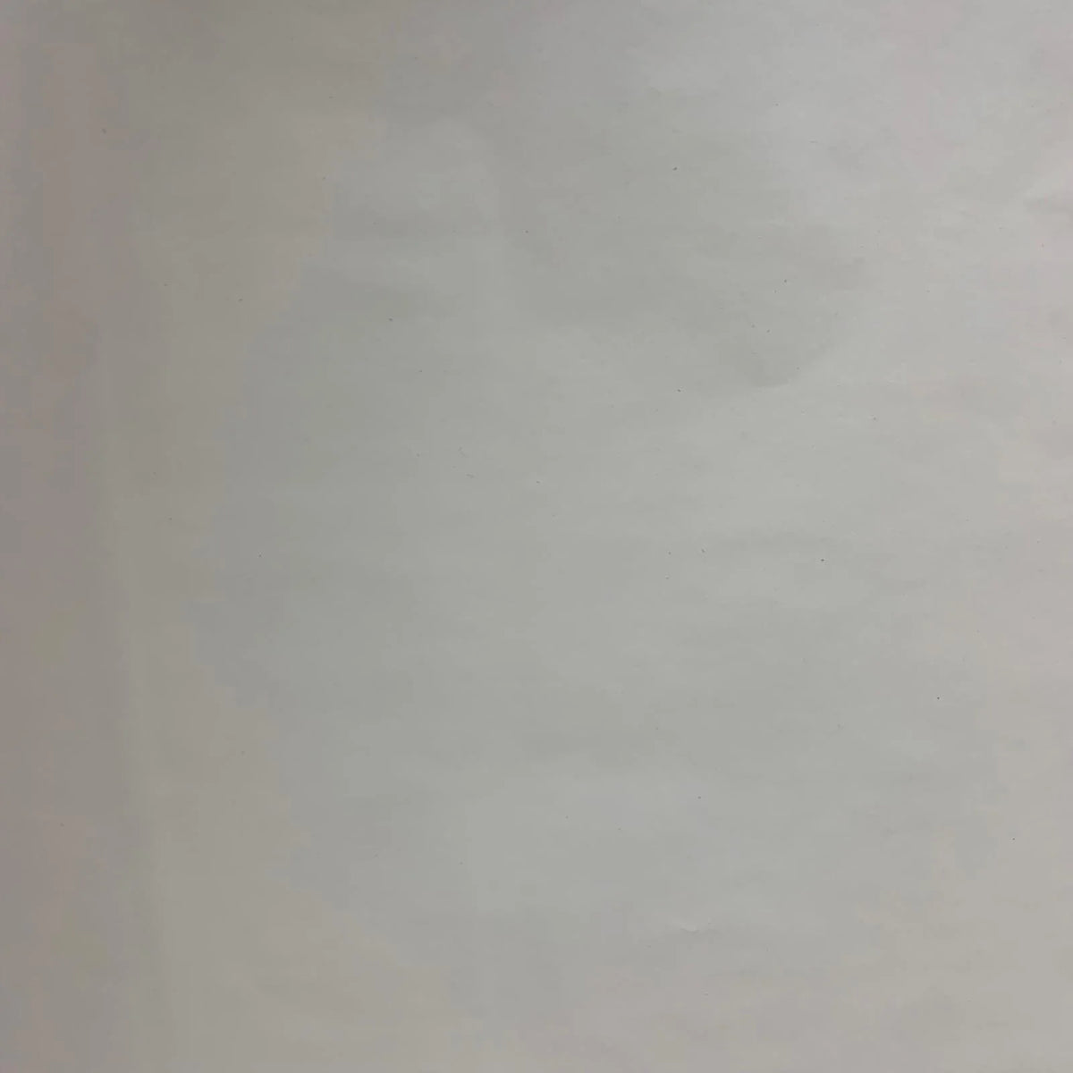 Gift Wrapping Paper 2 M x 70 cm #21 white