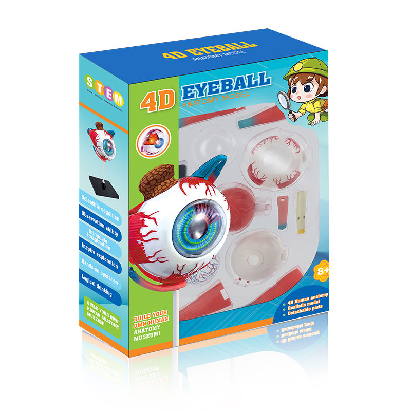 4D Eyeball Anatomy Model Scientific Toy Set || لعبة علمية اجزاء العين البشرية رباعية الابعاد