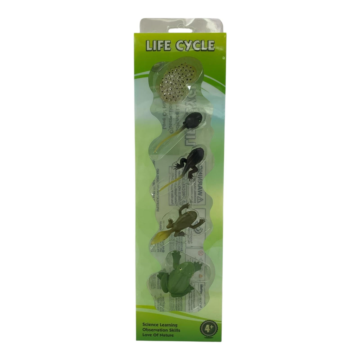 Educational Scientific Toys Life Cycle Set Frog || مجموعة العاب علمية دورة حياة الضفدع