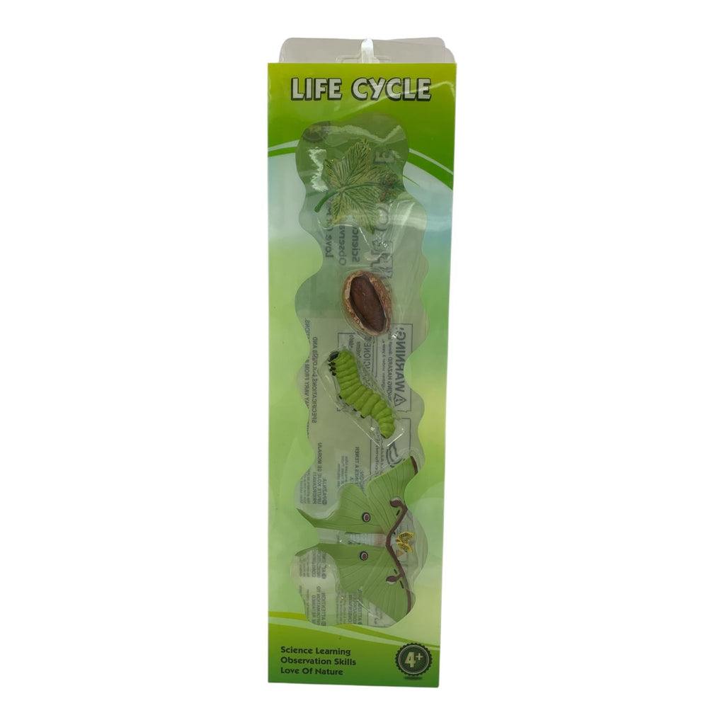 مجموعة ألعاب علمية لدورة حياة عثة لونا || Educational Scientific Toys Life Cycle Set Luna Moth