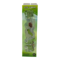 مجموعة ألعاب علمية لدورة حياة عثة لونا || Educational Scientific Toys Life Cycle Set Luna Moth