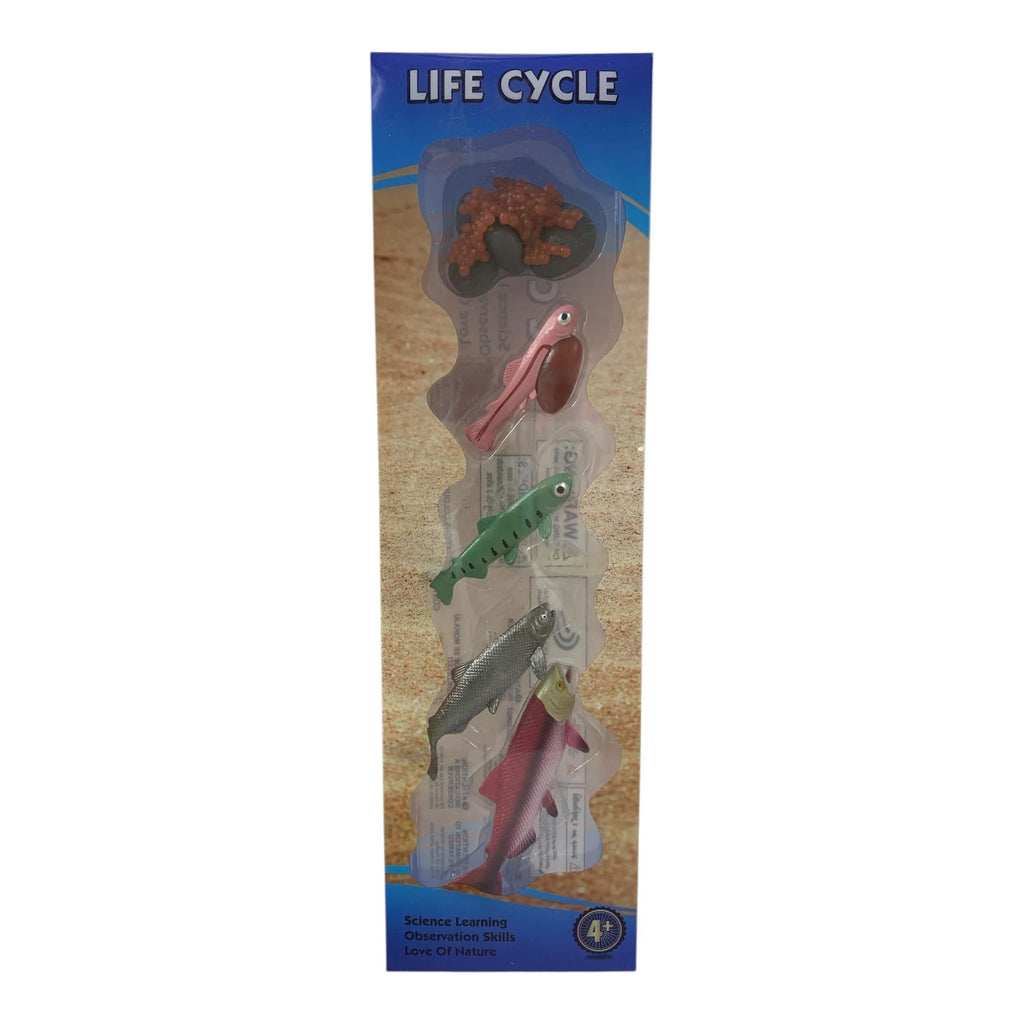 Educational Scientific Toys Life Cycle Set Fish || مجموعة ألعاب تعليمية علمية لدورة حياة الأسماك