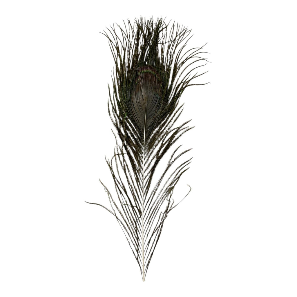 A&T Decorative Peacock Feather for Crafts || ريش طاووس اي اند تي للأشغال اليدوية