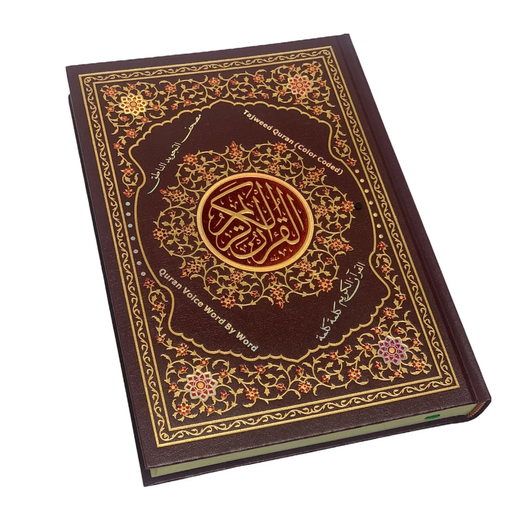 قلم قراءة القرآن الكريم
