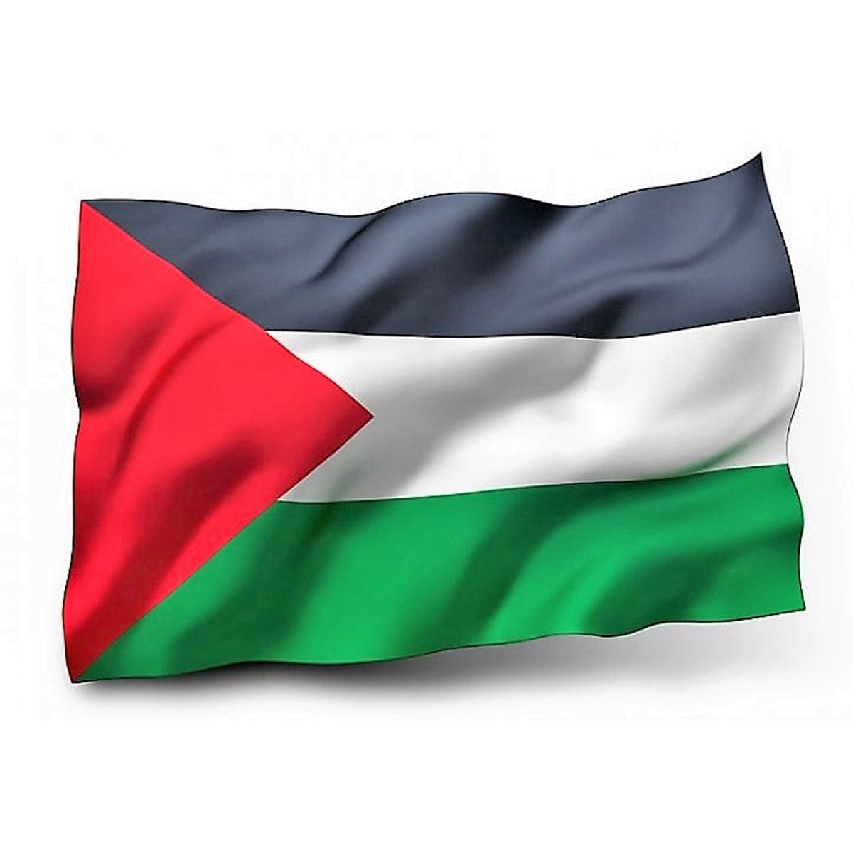 علم فلسطين || Palestine Flag